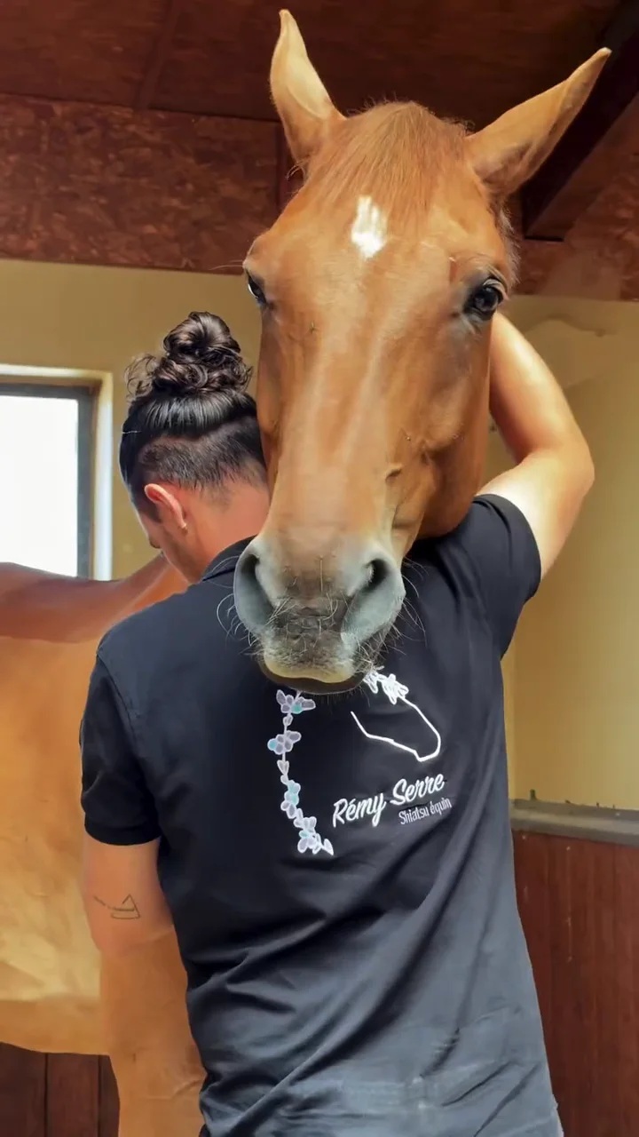 Un cheval alezan pose la tête sur l'épaule de Rémy Serre