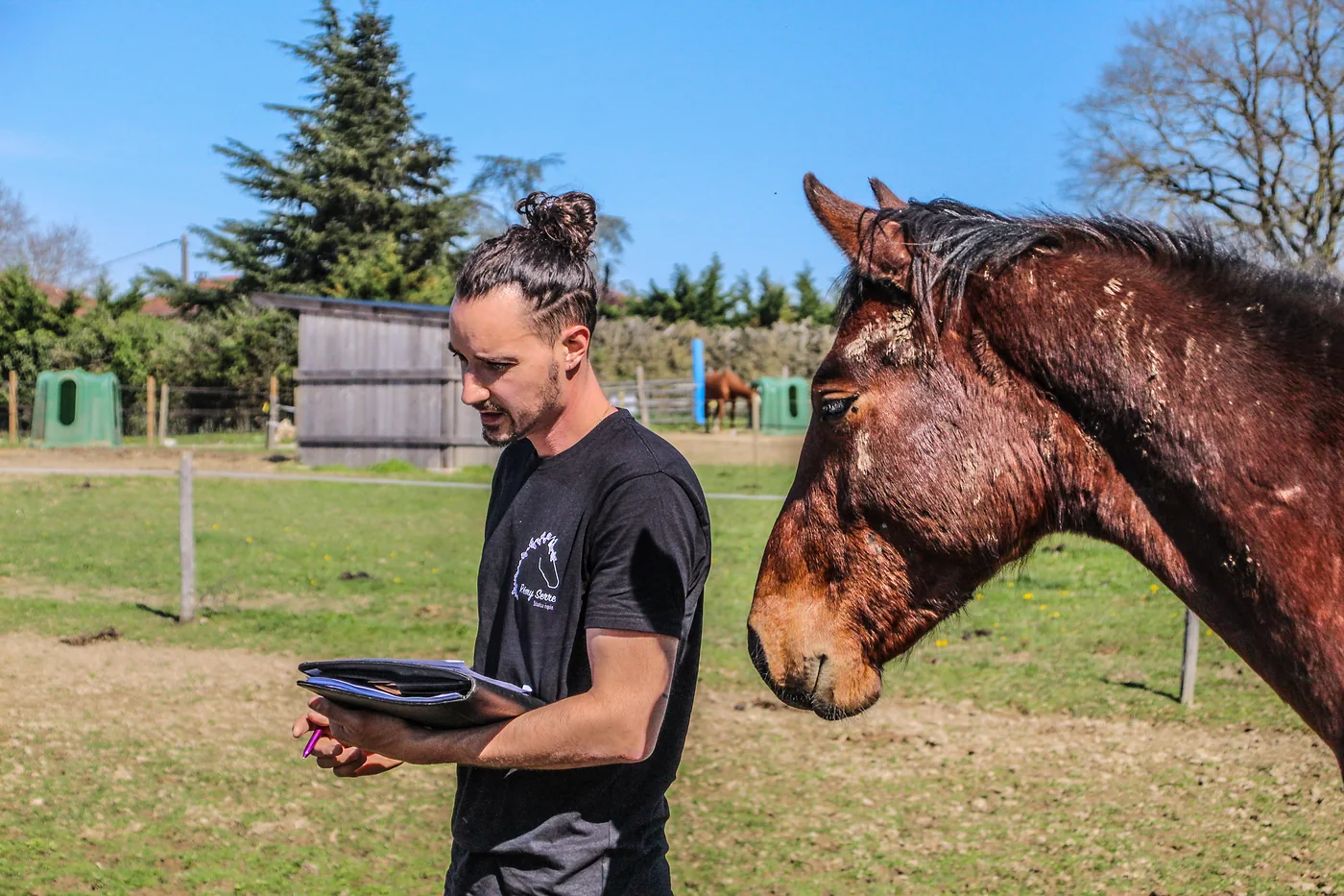 Rémy Serre observe un cheval bai avant de le toucher