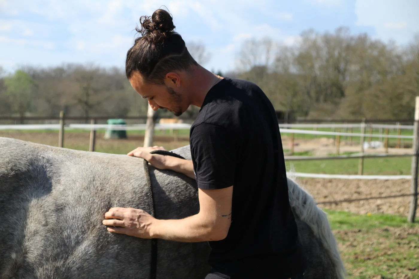 Les mains de Rémy Serre en pression sur le dos d'un cheval gris