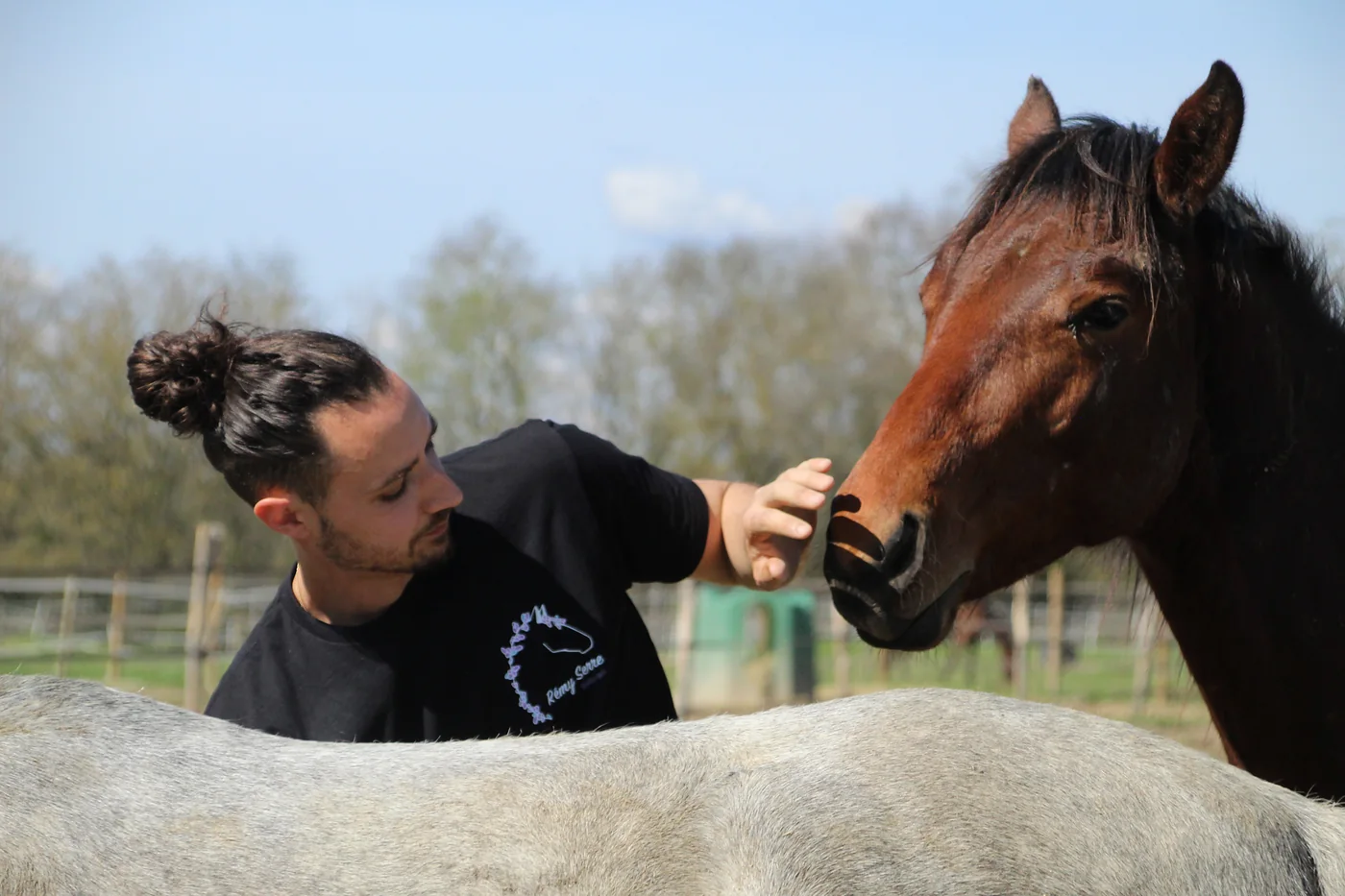 Rémy Serre tend la main vers un cheval bai au pré