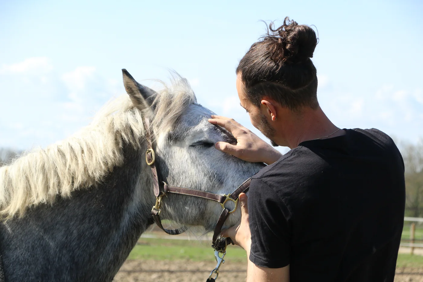 Rémy Serre pose la main sur le front d'un cheval gris