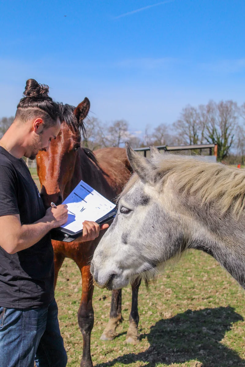 Rémy Serre prend des notes au pré, entre un cheval bai et un cheval gris
