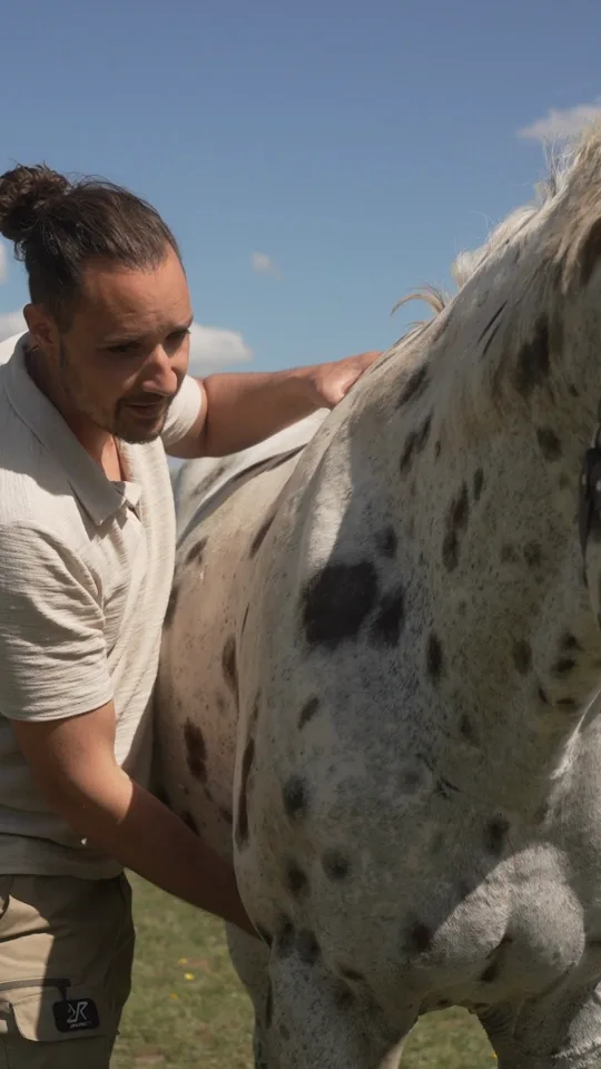 Rémy Serre au pré, auprès d'un cheval tacheté